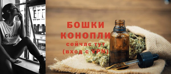 кокаин Каменка