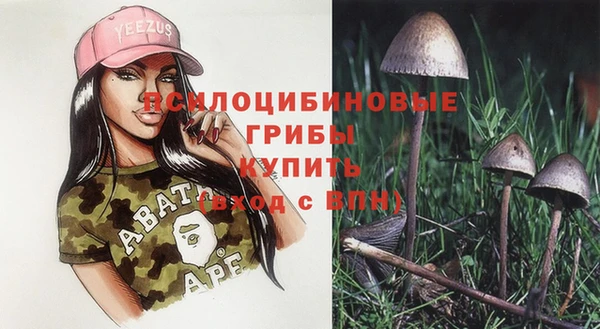 MDMA Premium VHQ Каменногорск